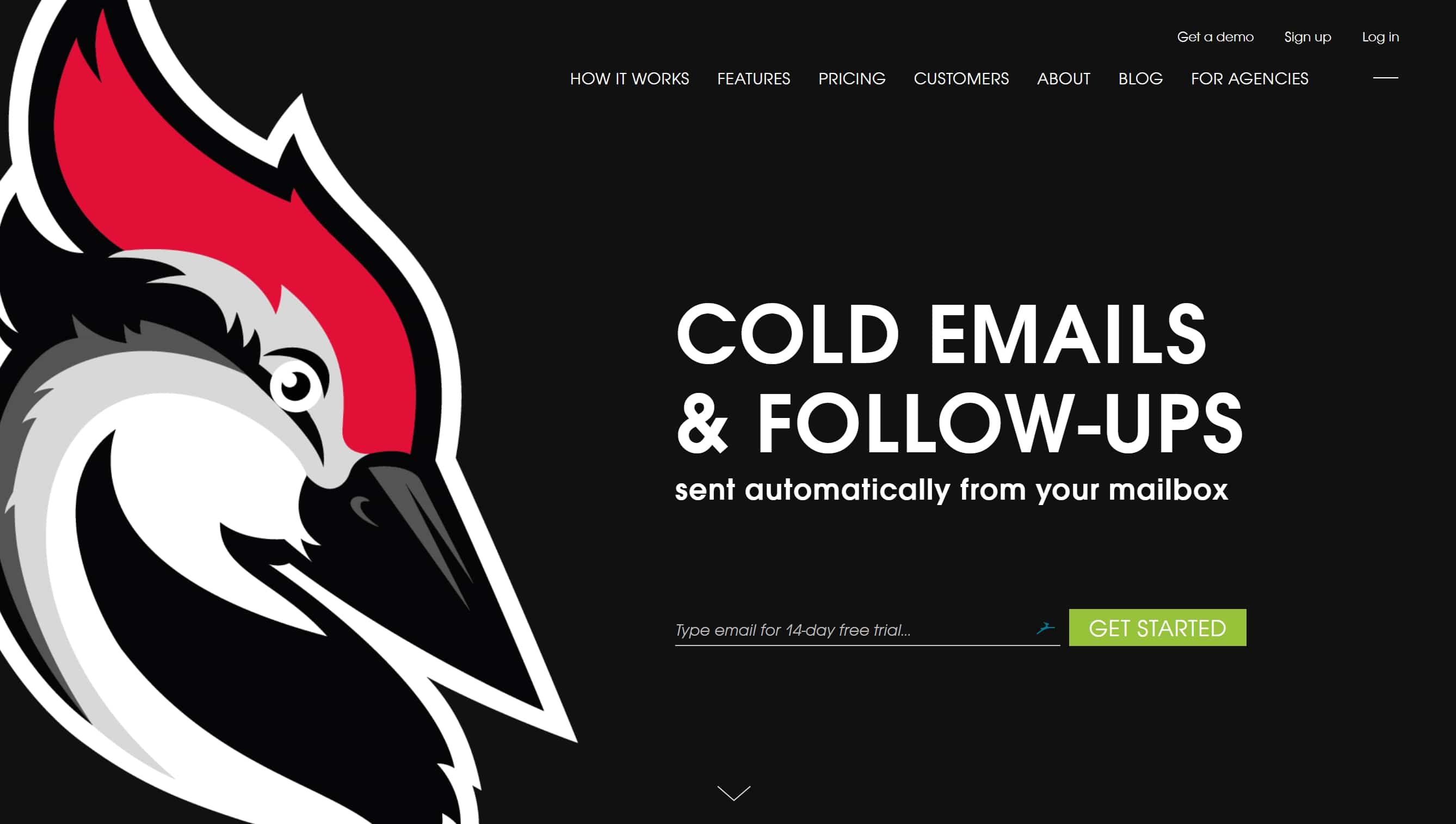 woodpecker email automation marketing